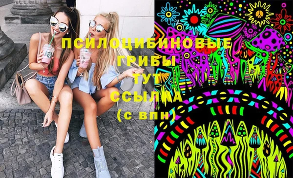 МДПВ Алексин