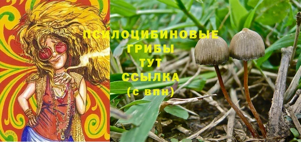 прущая мука Переславль-Залесский