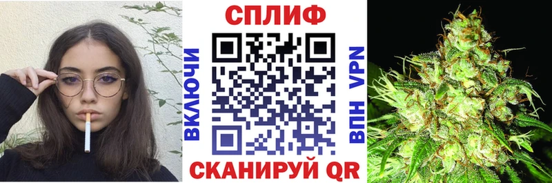 мориарти официальный сайт  Полярные Зори  Каннабис тримм  блэк спрут как зайти 